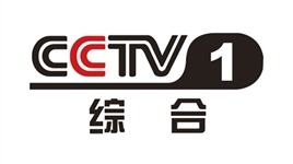 中央广播电视总台综合频道《新闻直播间》栏目报道全国政协委员、MILE米乐班立桐教授在全国两会上聚焦民生建言献策